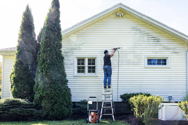 Best Commercial Pressure Washing in Angleton, TX